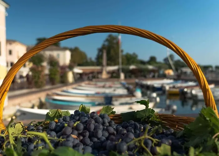 Сasa de vacaciones Ca' Dei Vigneti Colà