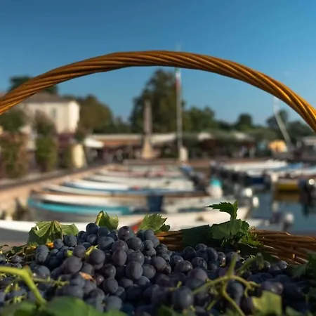Casa de Férias Ca' Dei Vigneti Colà