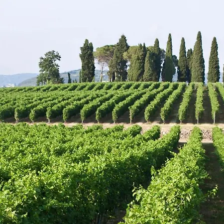 Dom wakacyjny Ca' Dei Vigneti