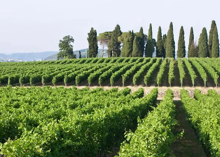 Dom wakacyjny Ca' Dei Vigneti